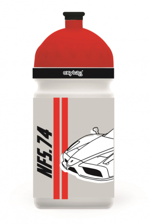 Karton P+P Láhev na pití 500 ml auto