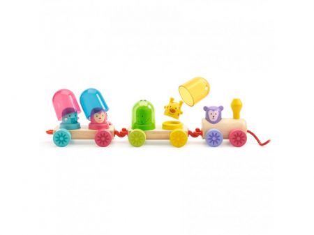 DJECO DJECO Rainbowtrain