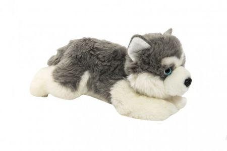 Teddies Pes/pejsek ležící Husky plyš 14x16x30cm 0+