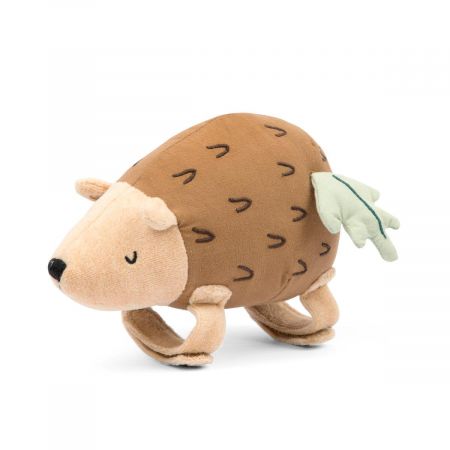 Natahovací hudební hračka, Twinkle The Hedgehog (Twinkle The Hedgehog)