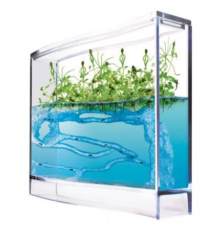 Forest Antquarium Ecoterrarium - Mravenčí akvárium