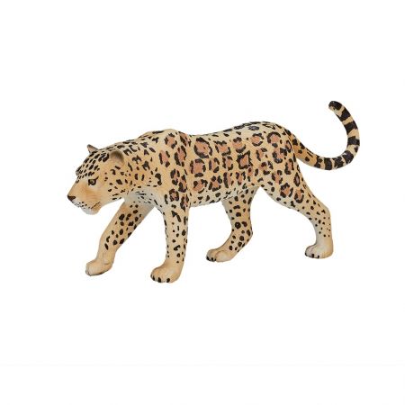 Mojo Leopard DS51763240