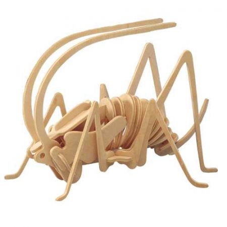 Woodcraft construction kit | Woodcraft Dřevěné 3D puzzle cvrček DS96906082