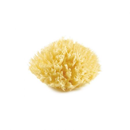 THERMOBABY Mořská houba, Yellow Varianta: Yellow