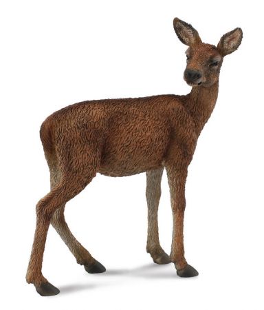 COLLECTA - Laň