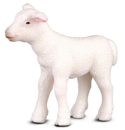 COLLECTA - Jehně