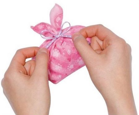 ZAPF CREATION - Baby Born Surprise Pets