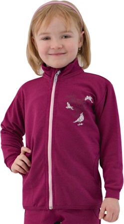ESITO Dětská mikina Ptáčci vel. 98 až 116 - 104 / fialová Barva: Fialová, Velikost: 104 ESDETMIKPTAFIA104