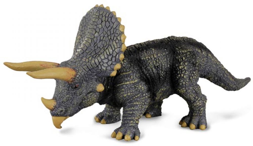 Collecte - Triceratops