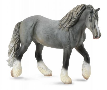 Collecte - shirských kůň - šedá klisna