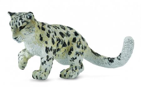 Collecte - Leopard