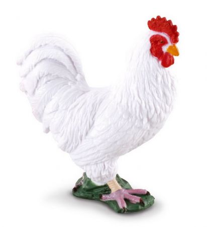 COLLECTA - Kohout Bílý