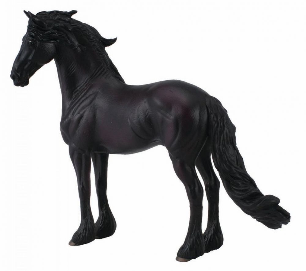 Collecte - Fríský kůň