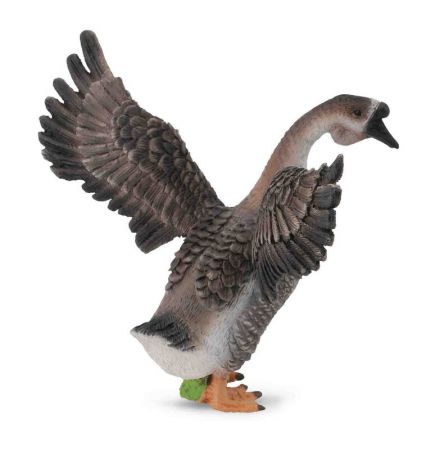 COLLECTA - Houser