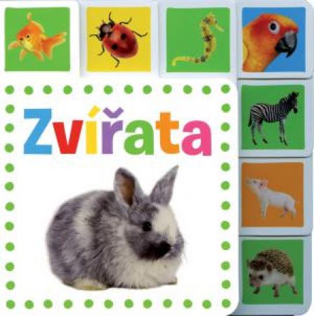 Svojtka Zvířata