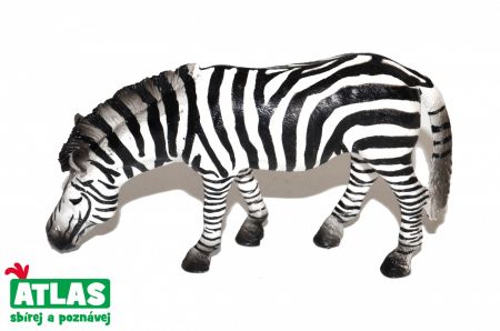 Atlas Figurka Zebra 11 cm